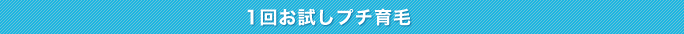 1回お試しプチ育毛