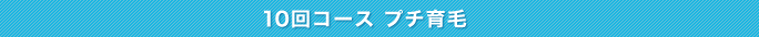 10回コースプチ育毛